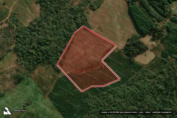 Imagem de satélite de Infração da Flora em Inácio Martins - PR