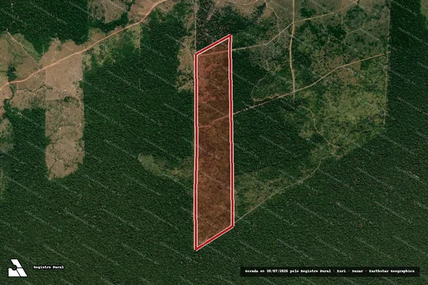 Imagem de satélite de Infração da Flora em Colniza - MT