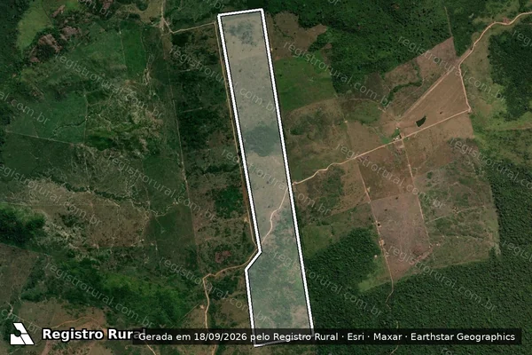 Imagem de satélite — Embargo IBAMA — Infração da Flora - Altamira/PA