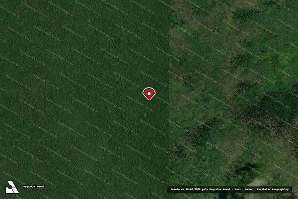 Imagem de satélite de Infração Ambiental em Apuí - AM (marcador da localização)