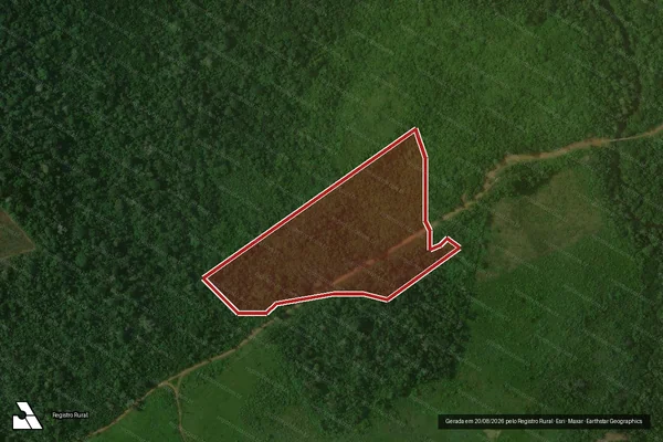 Imagem de satélite de Infração da Flora em Pacajá - PA
