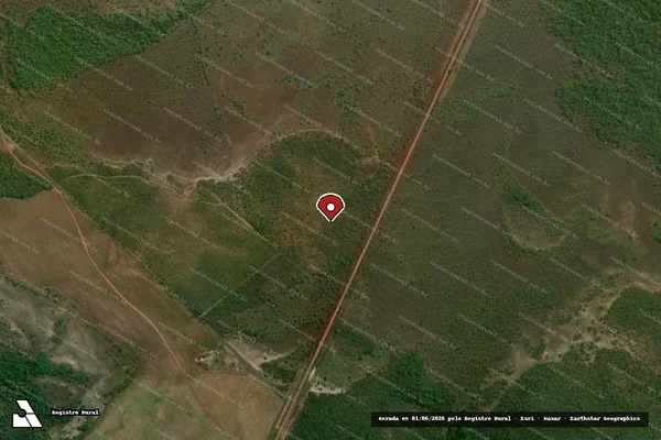 Imagem de satélite de Infração Ambiental em Pium - TO (marcador da localização)