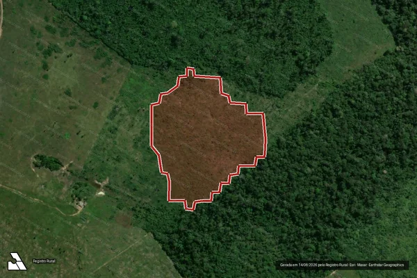 Imagem de satélite de Infração da Flora em Apuí - AM