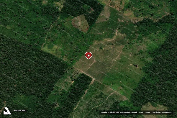 Imagem de satélite de Infração da Flora em Manoel Urbano - AC (marcador da localização)