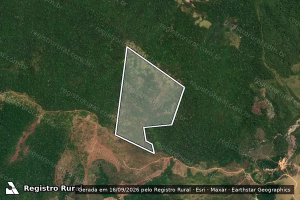 Imagem de satélite — Embargo IBAMA — Infração Ambiental - Itaituba/PA