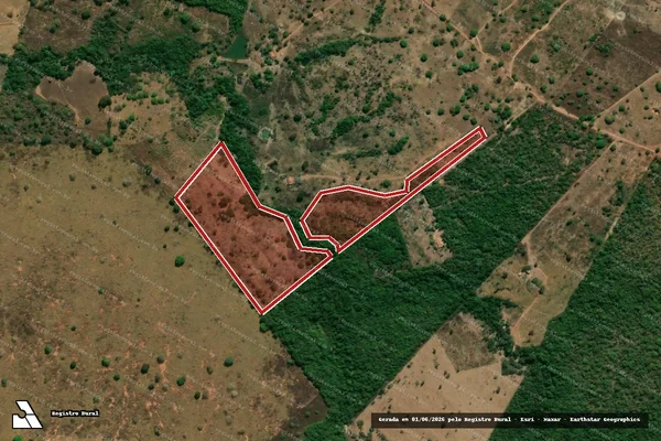 Imagem de satélite — Embargo IBAMA — Infração da Flora - Crixás/GO