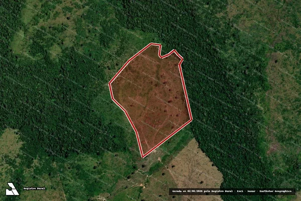 Imagem de satélite — Embargo IBAMA — Infração da Flora - Maués/AM