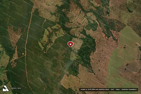 Imagem de satélite de Infração Ambiental em Ivolândia - GO (marcador da localização)