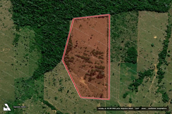 Imagem de satélite — Embargo IBAMA — Infração da Flora — Vale do Anari/RO