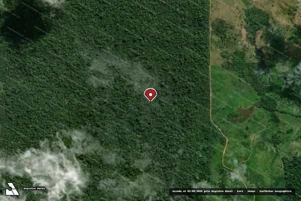 Imagem de satélite de Infração da Flora em Novo Repartimento - PA (marcador da localização)
