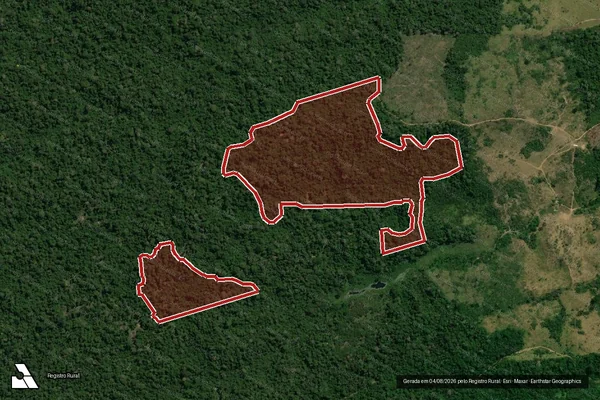 Imagem de satélite de Infração da Flora em Uruará - PA