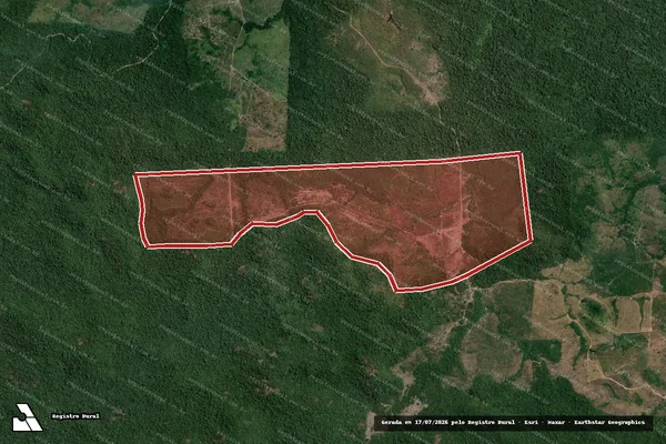 Imagem de satélite de Infração Ambiental em Novo Progresso - PA