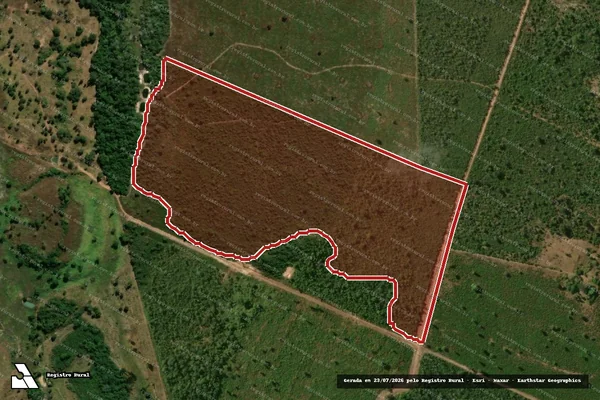 Imagem de satélite — Embargo Ambiental - Ribeirão Cascalheira/MT