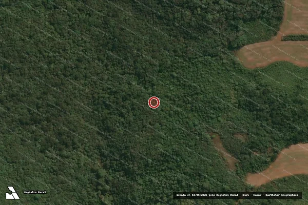 Imagem de satélite de Infração Ambiental em Cruz Machado - PR