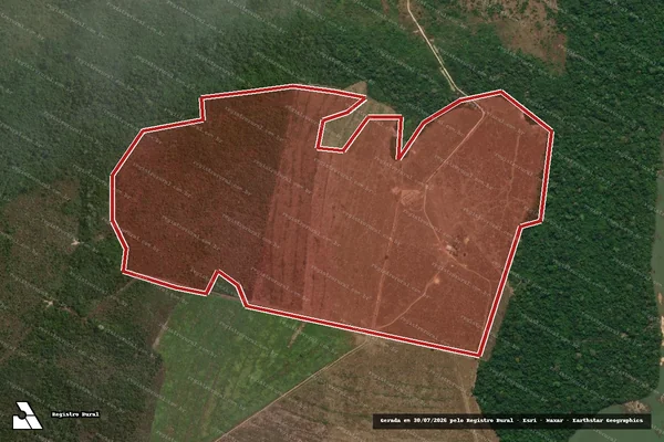 Imagem de satélite de Infração da Flora em Novo Progresso - PA