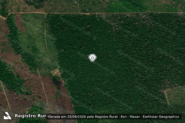 Imagem de satélite de Infração da Flora em Lábrea - AM (marcador da localização)