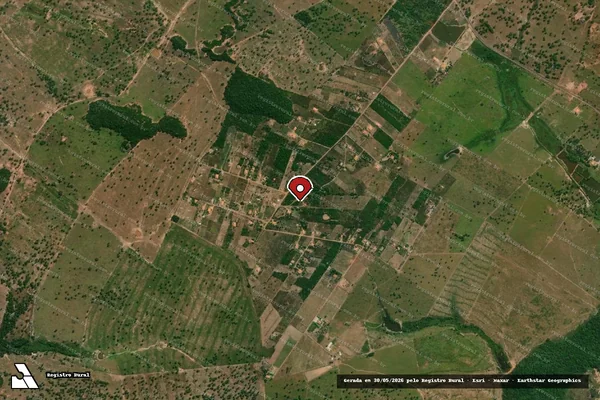 Imagem de satélite de Infração Ambiental em Amarante do Maranhão - MA (marcador da localização)