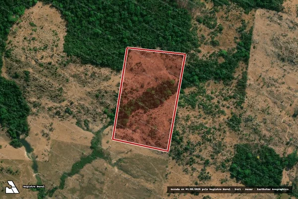 Imagem de satélite de Infração da Flora em Castanheira - MT