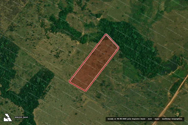 Imagem de satélite de Infração da Flora em Porto Velho - RO