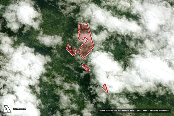 Imagem de satélite — Embargo IBAMA — Infração da Flora - Senador José Porfírio/PA