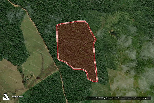 Imagem de satélite de Infração da Flora em Apuí - AM