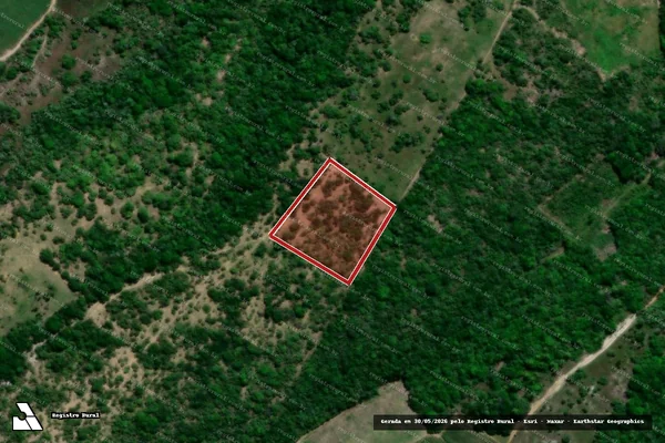 Imagem de satélite — Embargo IBAMA — Infração da Flora — Baía da Traição/PB