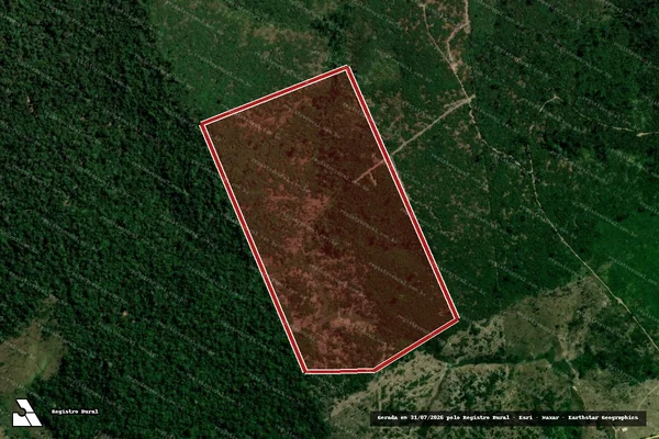 Imagem de satélite de Infração da Flora em Portel - PA