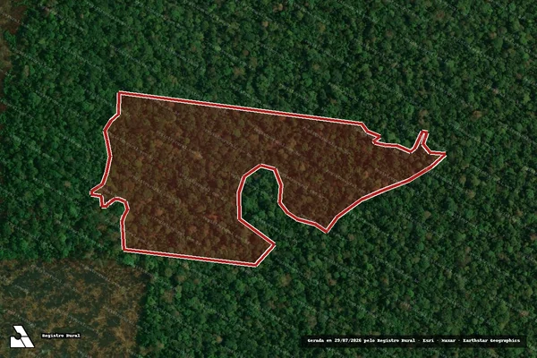 Imagem de satélite de Infração da Flora em Novo Aripuanã - AM