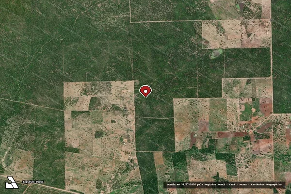 Imagem de satélite de Infração da Flora em Olho D'Água do Casado - AL (marcador da localização)