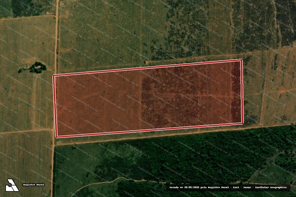 Imagem de satélite de Infração da Flora em Nova Ubiratã - MT