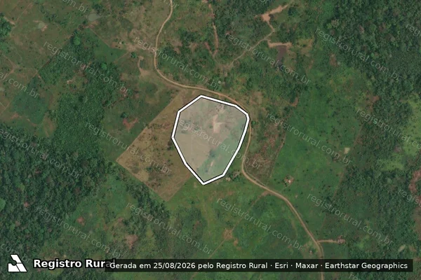 Imagem de satélite de Desmatamento em Sena Madureira - AC