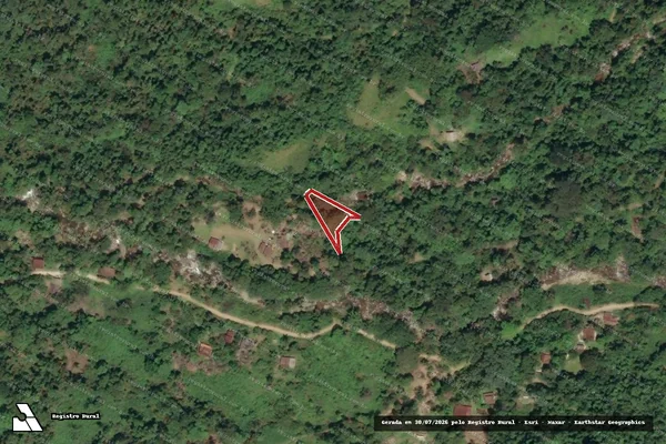 Imagem de satélite de Infração da Flora em Paraty - RJ