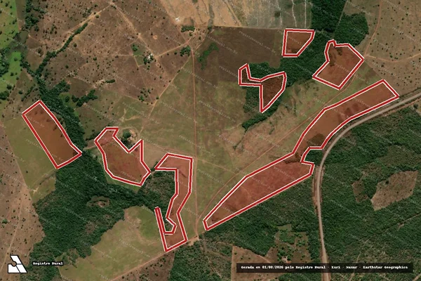 Imagem de satélite — Embargo IBAMA — Infração da Flora — Oliveira de Fátima/TO