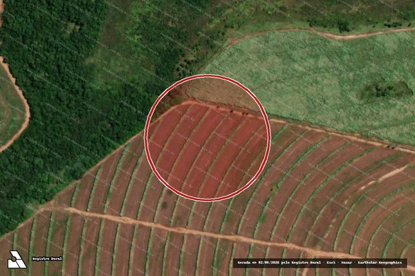 Imagem de satélite de Infração Ambiental em Guaraci - SP