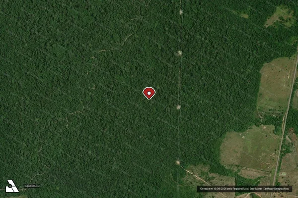 Imagem de satélite de Infração da Flora em Rorainópolis - RR (marcador da localização)