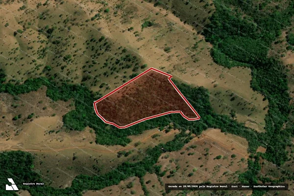 Imagem de satélite de Infração da Flora em Campinaçu - GO