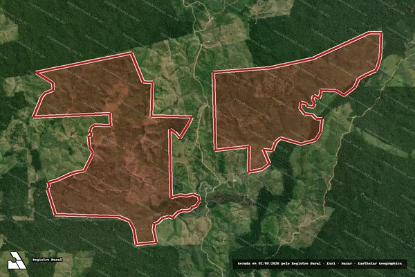 Imagem de satélite de Infração da Flora em Pacajá - PA
