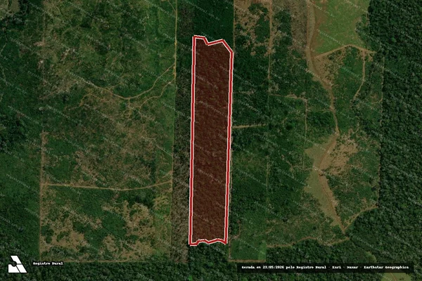Imagem de satélite de Infração da Flora em Governador Jorge Teixeira - RO