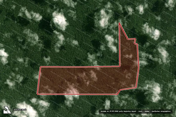 Imagem de satélite de Infração da Flora em Portel - PA