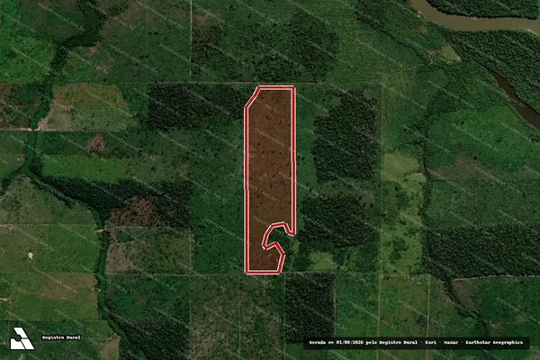 Imagem de satélite de Infração da Flora em Porto Velho - RO