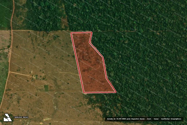 Imagem de satélite de Infração Ambiental em Porto Velho - RO