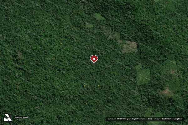 Imagem de satélite de Infração da Flora em Anapu - PA (marcador da localização)