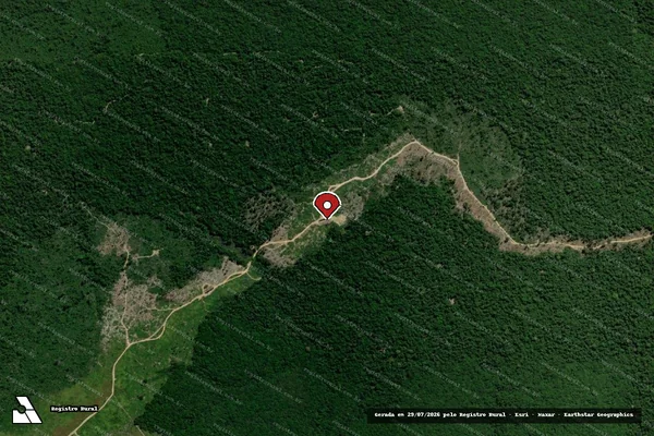 Imagem de satélite de Infração Ambiental em Moju - PA (marcador da localização)