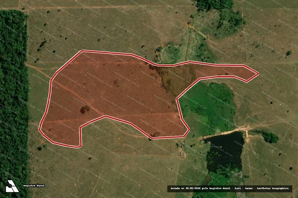 Imagem de satélite — Embargo IBAMA — Infração Ambiental - Alta Floresta D'Oeste/RO