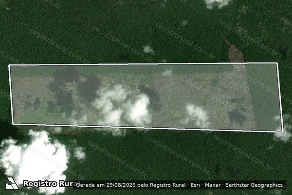 Imagem de satélite de Infração da Flora em Portel - PA