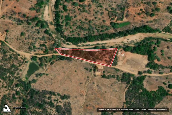 Imagem de satélite — Embargo IBAMA — Desmatamento — Belo Campo/BA