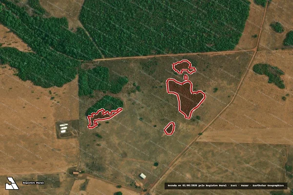 Imagem de satélite de Infração da Flora em Mara Rosa - GO