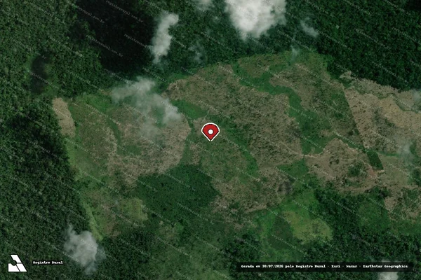 Imagem de satélite de Infração Ambiental em Altamira - PA (marcador da localização)