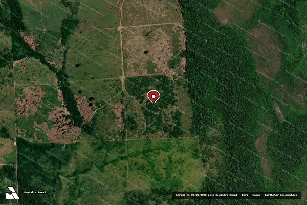 Imagem de satélite — Embargo IBAMA — Infração da Flora - Maués/AM