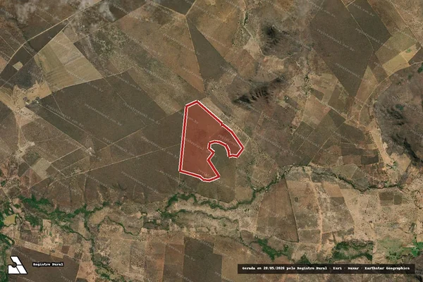 Imagem de satélite de Infração da Flora em Pedras de Maria da Cruz - MG